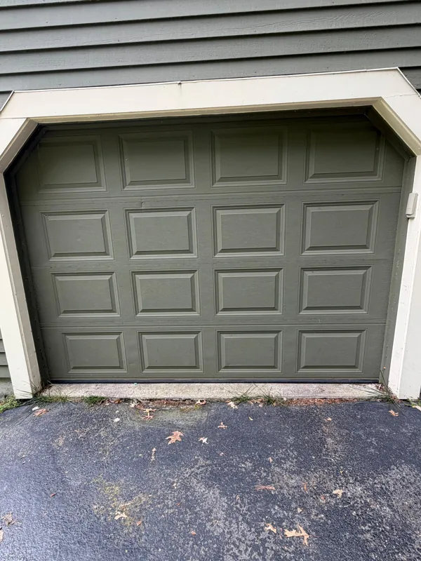 Sage raised-panel door by Green Garage Doors