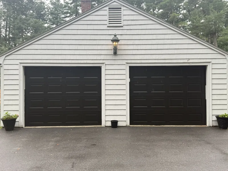 Two raised-panel doors
